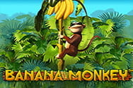 Banana Monkey