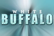 White Buffalo